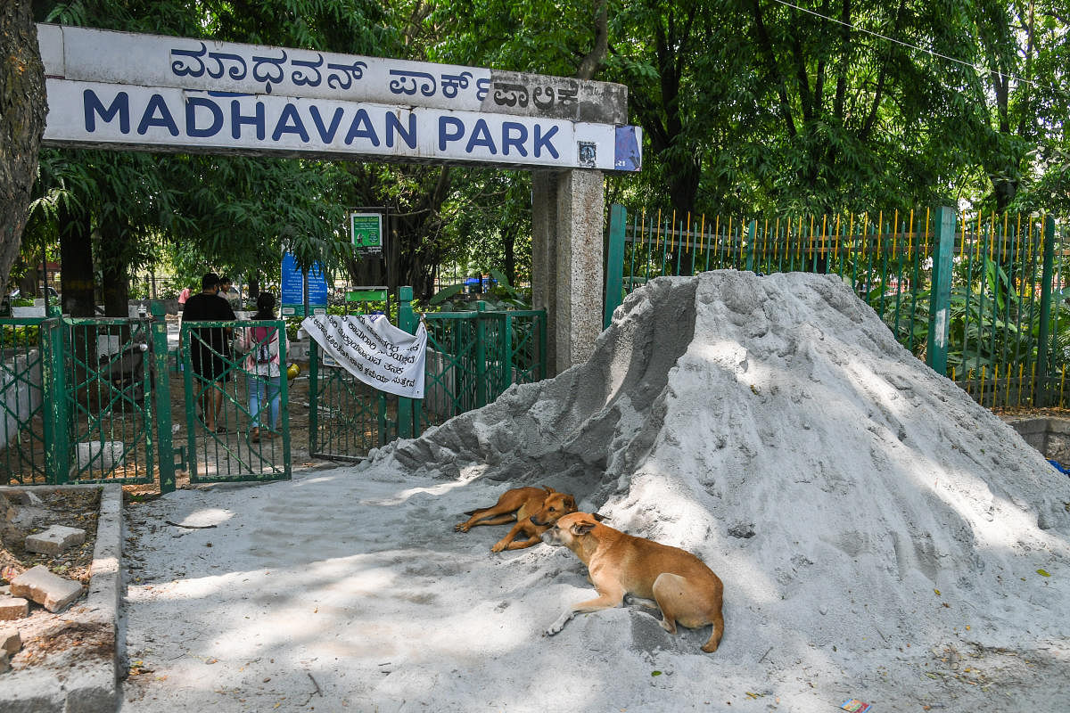 Plans by the BBMP to clad the park with granite kerbs has prompted fears among residents that the park would lose its greenery and turn into another concretised space. DH PHOTO/S K Dinesh 
