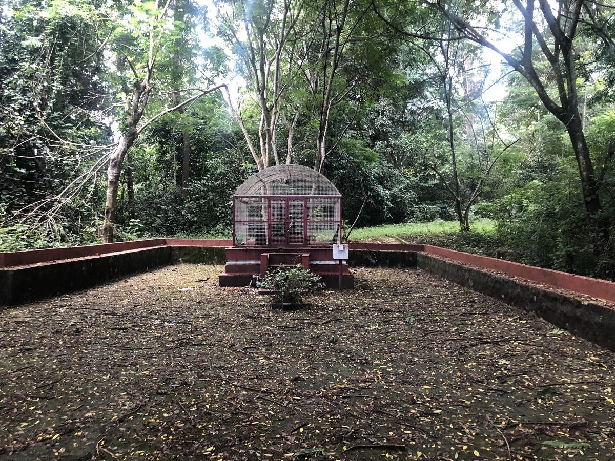 A shrine in the Vontiangadi devakaad. Photos by author 