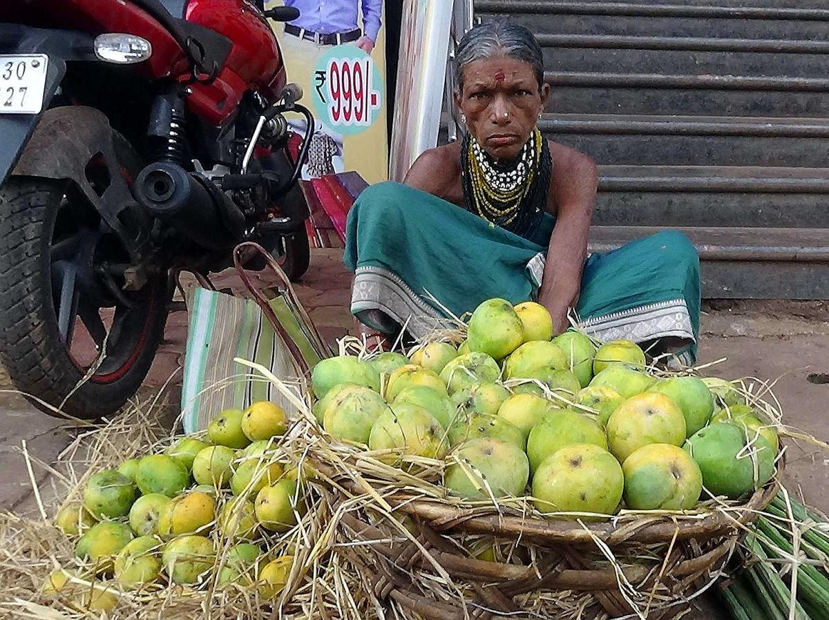 A Halakki woman selling mangoes. Sadashiva M S 
