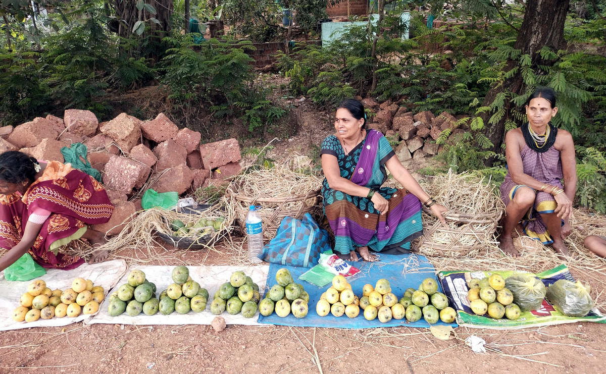 Growers selling the famed Kari Ishad on a highway in Ankola. Photos by Sadashiva M S