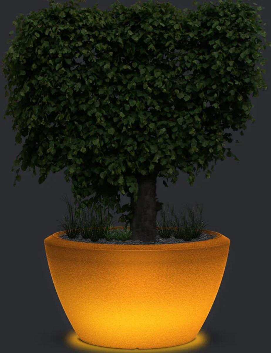 LED planter. Price: Rs 89,699 at sereno.co.in