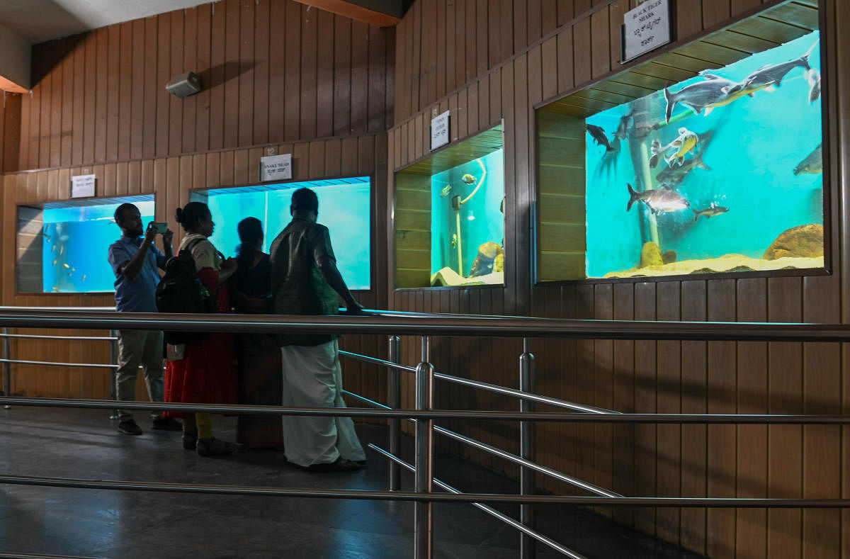 Visitors at the government aquarium in Cubbon Park. Credit: DH FILE PHOTO