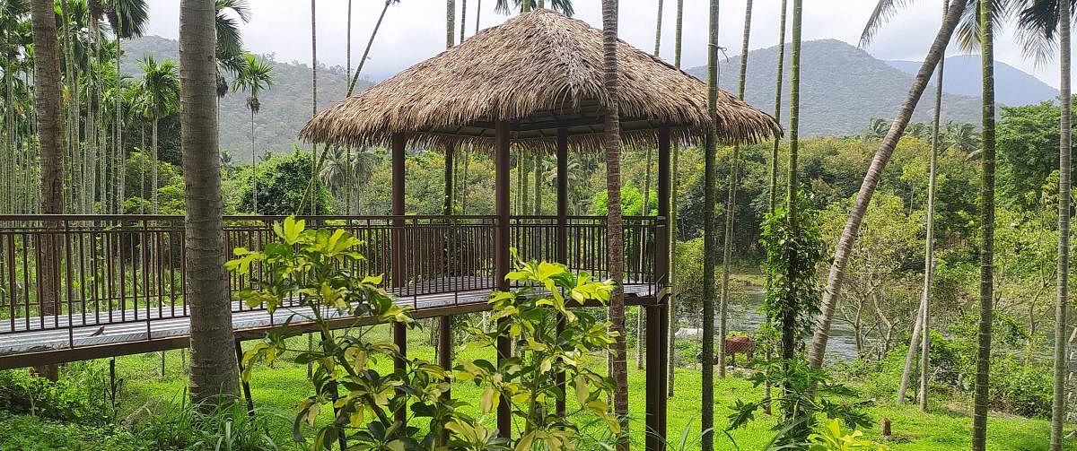 A gazebo with a thatched roof and mild steel poles at a project in Anaikatti, designed by Dharitri Landscape. Credit: Special arrangement