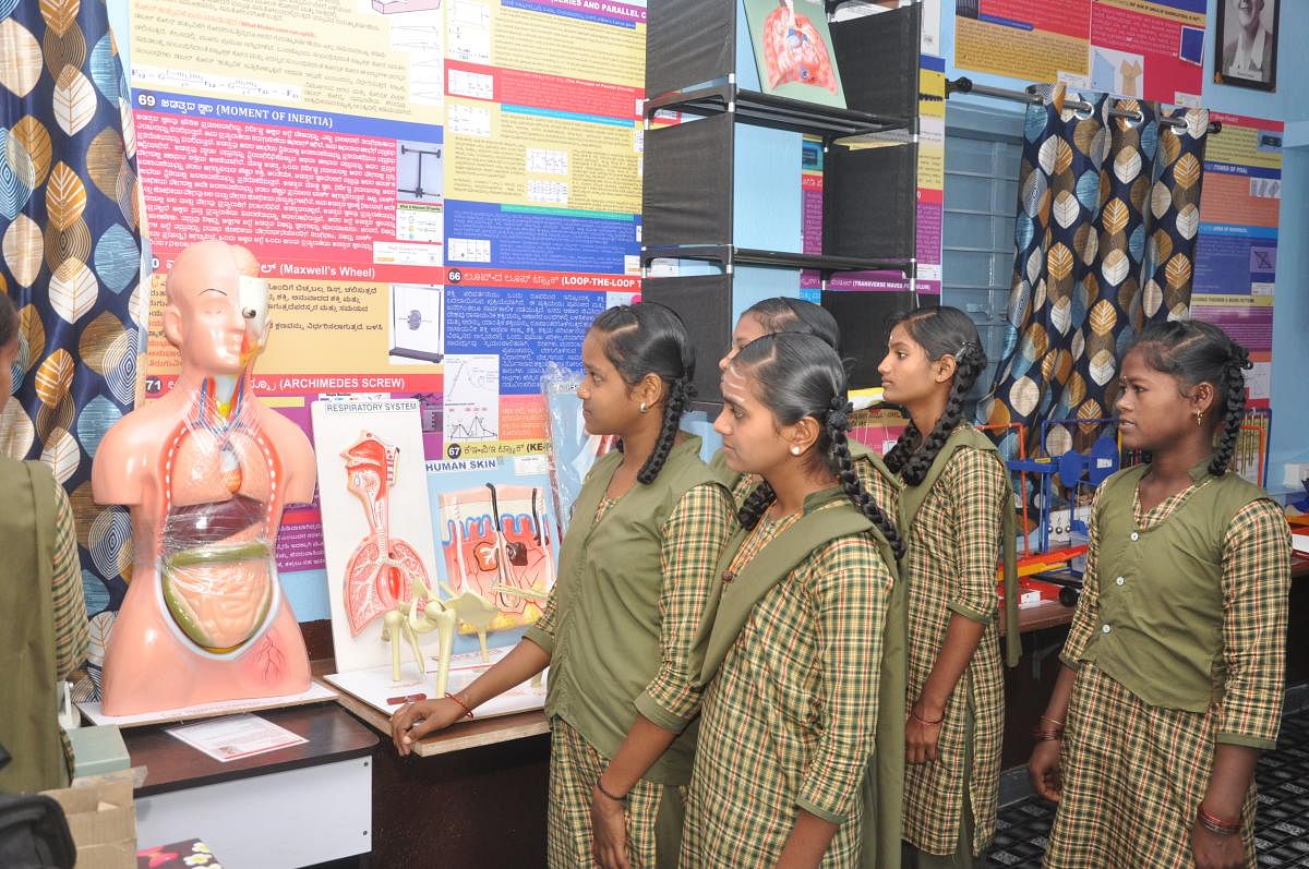 Students view an exhibit on the anatomy of the human body.