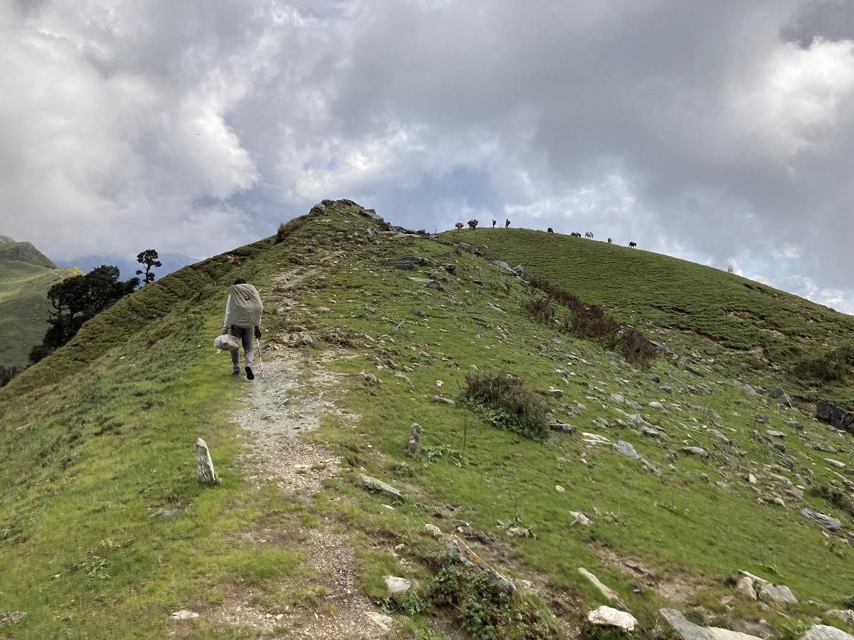 The Jorai Bugyal trail