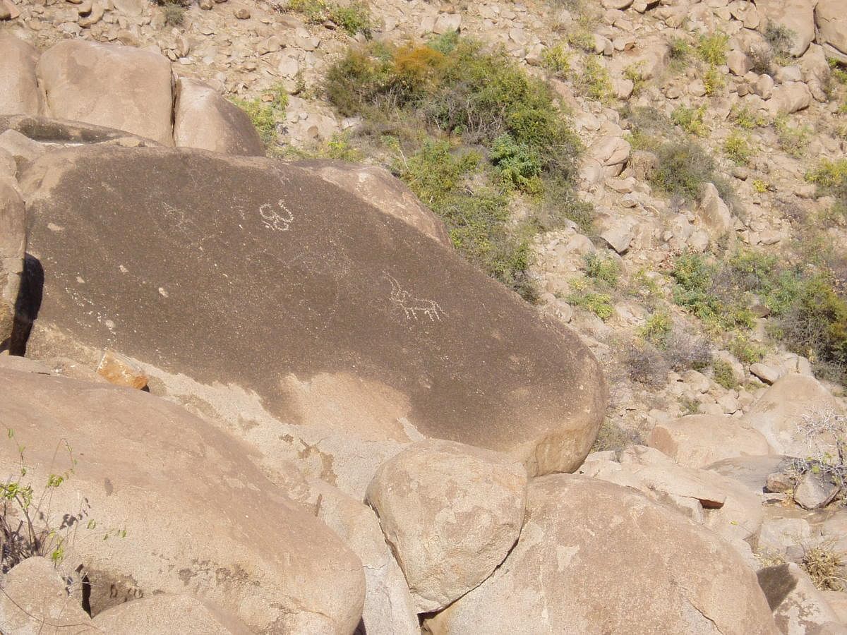 A rock bruising on the hill depicting a bull.