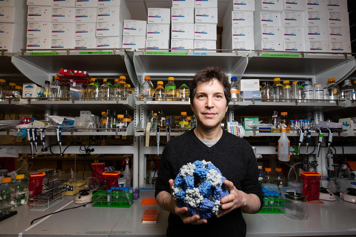 David Baker, the director of the Institute for Protein Design at the University of Washington, has been working to build artisanal proteins for more than 30 years, in his lab at the university, in Seattle. Credit: The New York Times