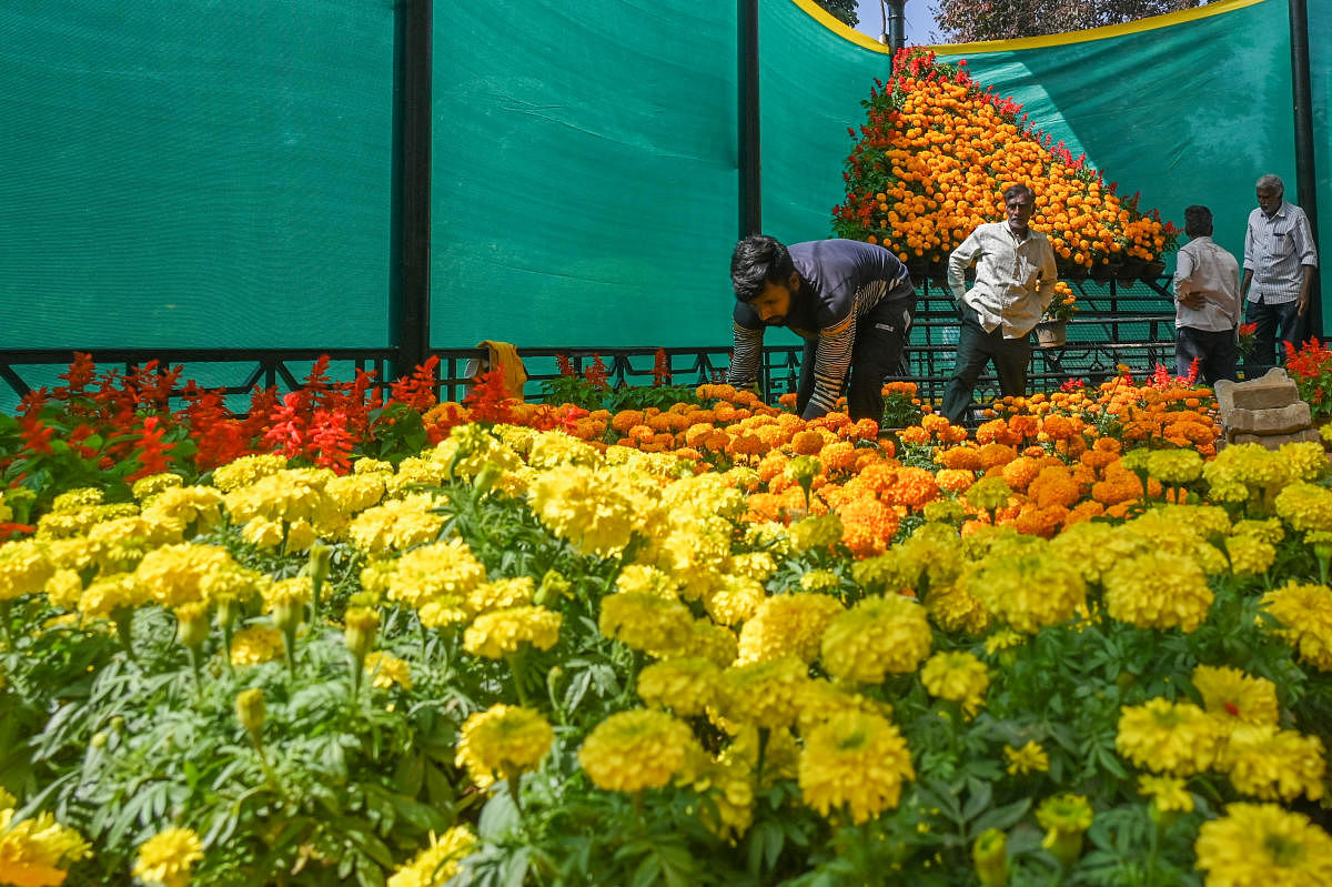 Preparations on for the Republic Day flower show at Lalbagh in Bengaluru on Monday. DH Photos/S K Dinesh