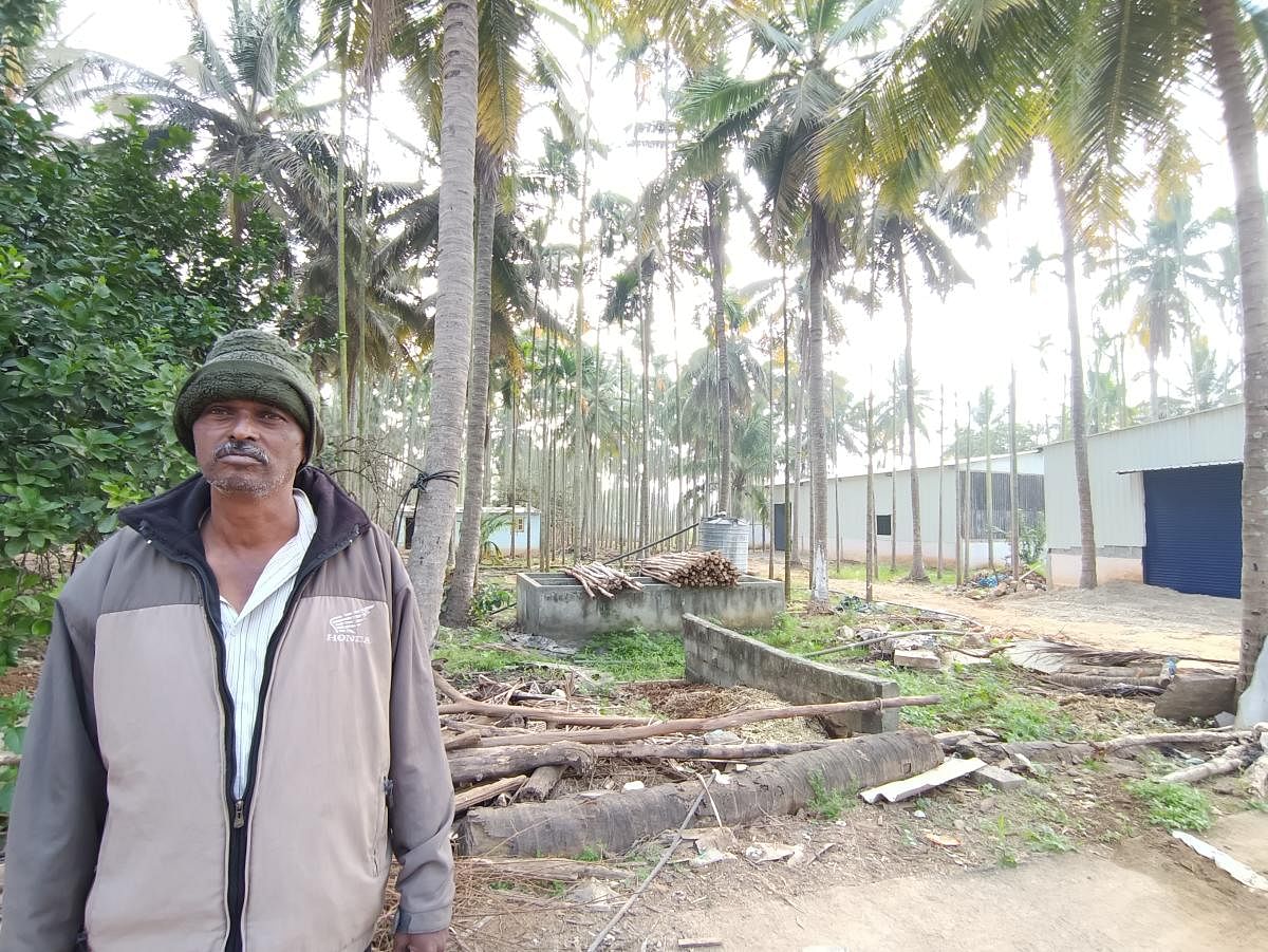Nanjundappa from Somashettihalli and Shashidhar from Ramagondanahalli are among the farmers who will lose land for the Shivarama Karantha Layout.