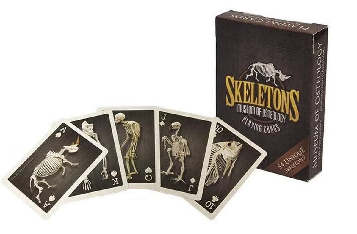 Skeleton fun (ubuy).