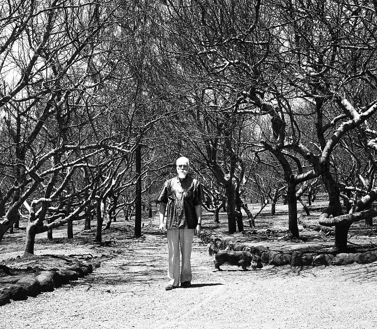 Nikolas Rorich Russian Painter at his Tataguni estate near Bangalore _6-4-1966Svetoslav Roerich Photos.