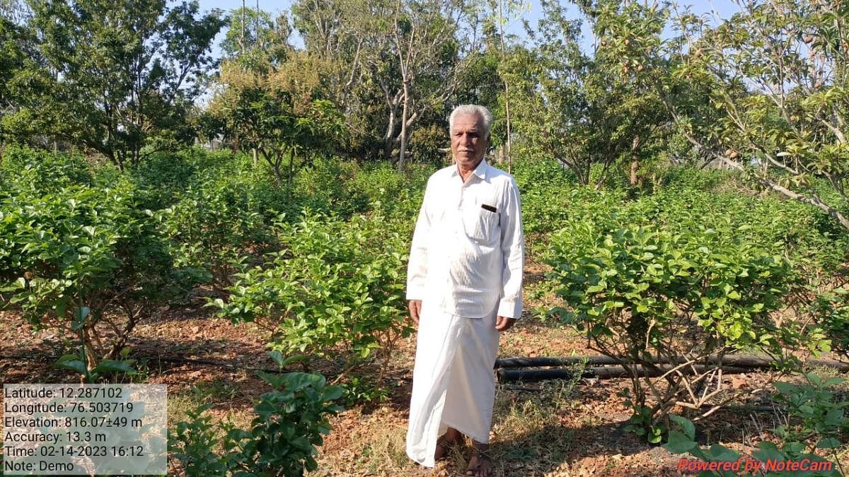 T Krishnappa, who has cultivated jasmine plants in Doddamaragowdanahalli in Mysuru.