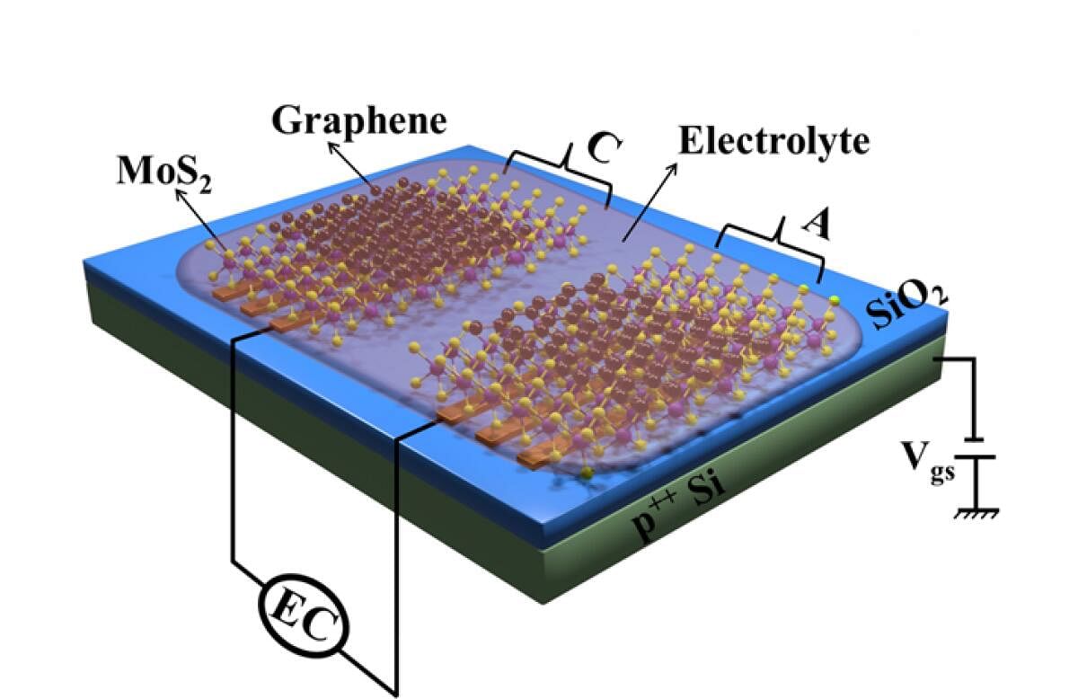 Schematic diagram of the device. Photo by special arrangement