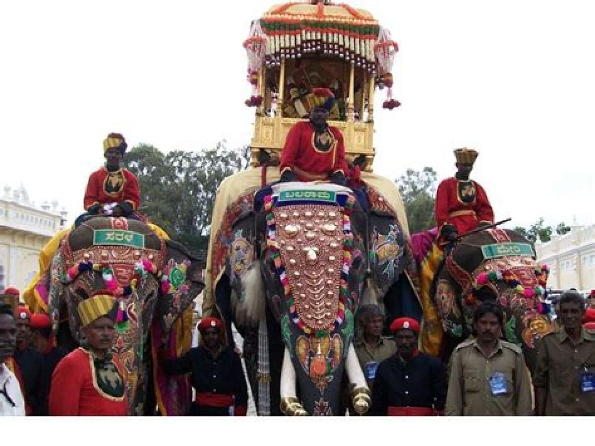 File pic of Balarama carrying 750kg golden howdah during a Dasara Jumbo Savari procession in Mysuru. Photo by special arrangment. 