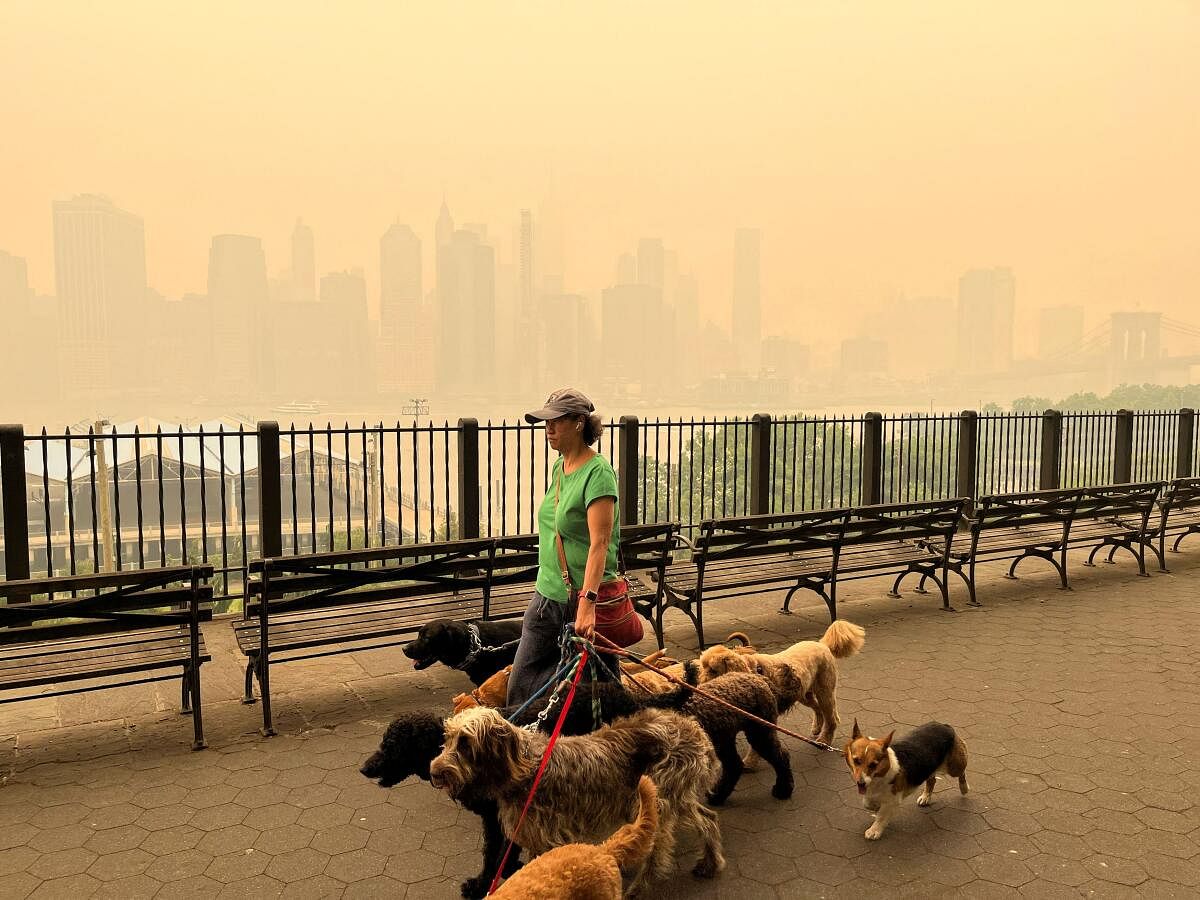 A person walks dogs along the Brooklyn promenade as the Manhattan skyline is shrouded in haze and smoke which drifted south from wildfires in Canada. Credit: Reuters Photo