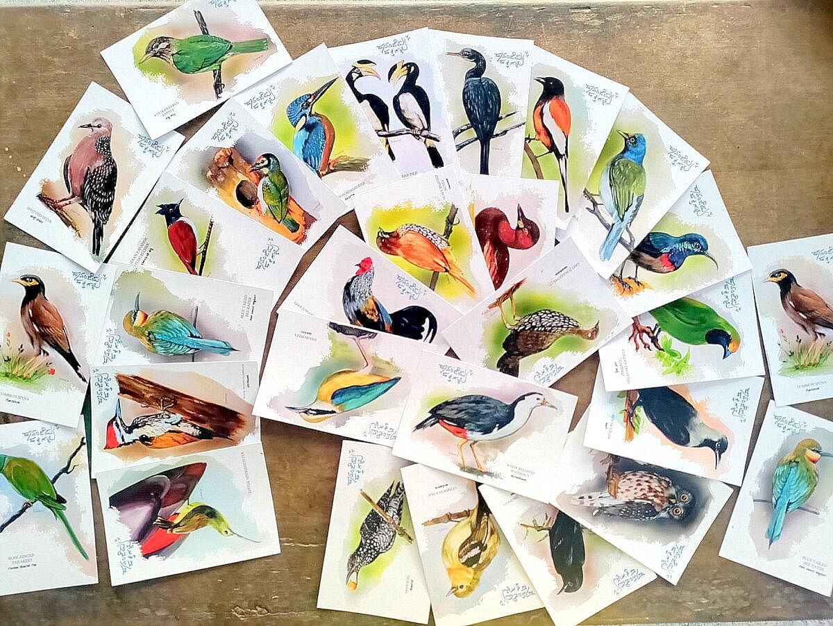 Postcards featuring the birds of Havanje.