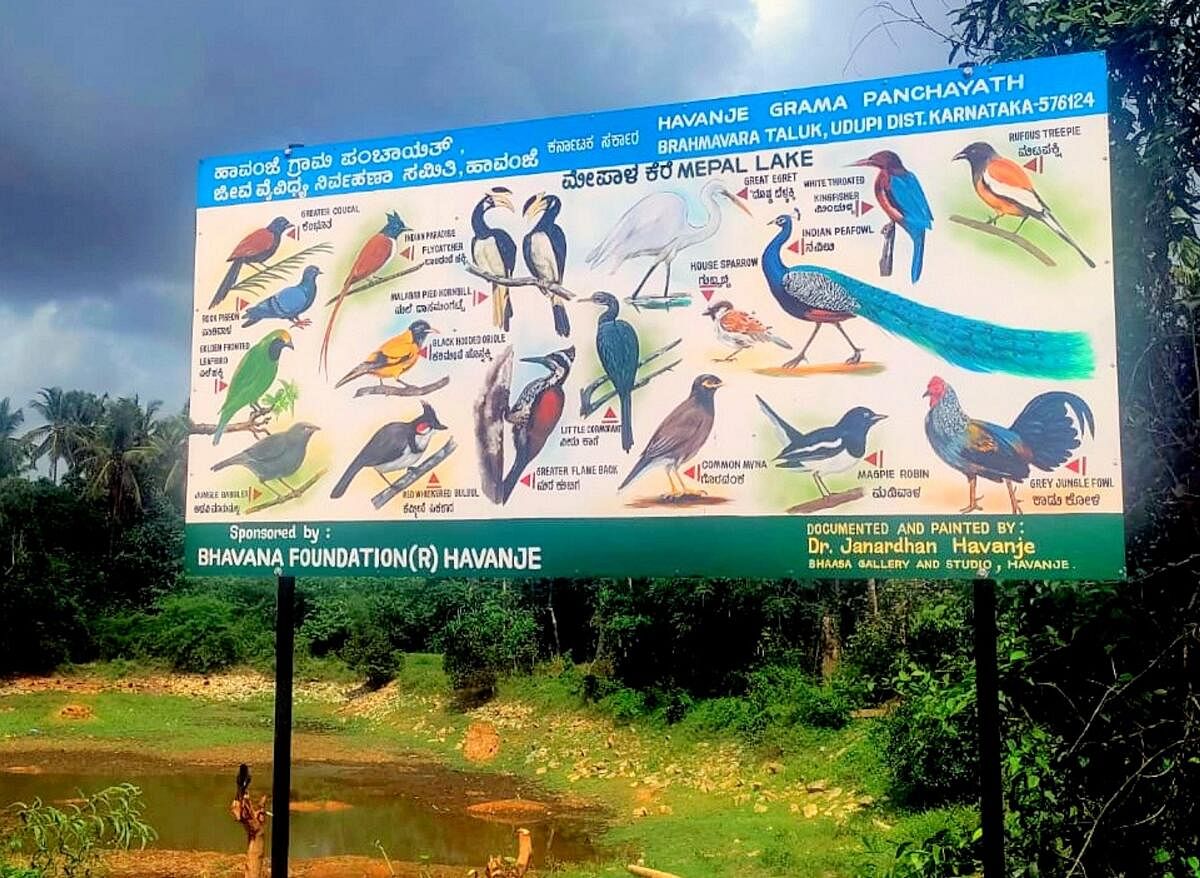Pictorial boards in Havanje, which feature several species of birds. 