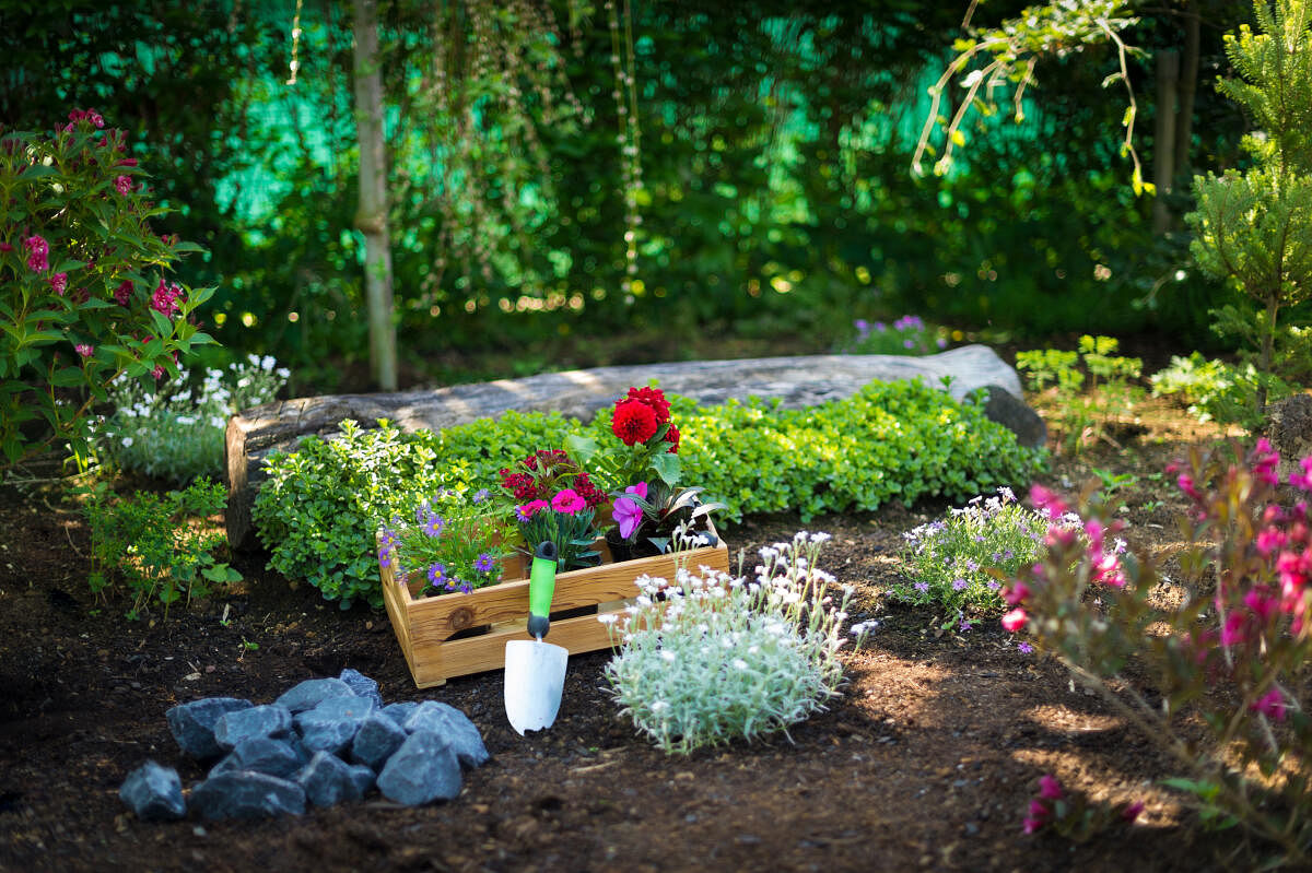 Crates make for good garden planters.