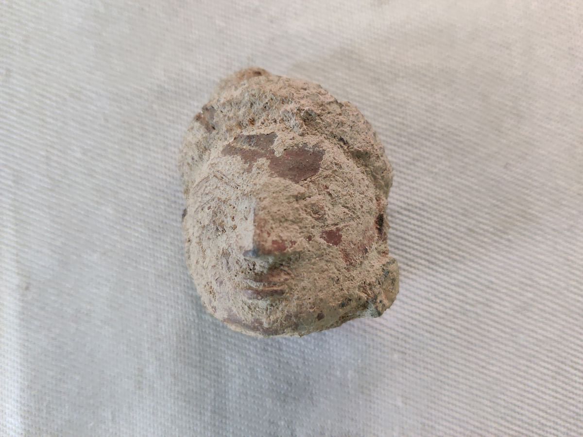Weighing 74 grams, the head of a female figurine made of terracotta was unearthed from one of the trenches in the site inside a coconut grove. DH photo/E.T.B. Sivapriyan