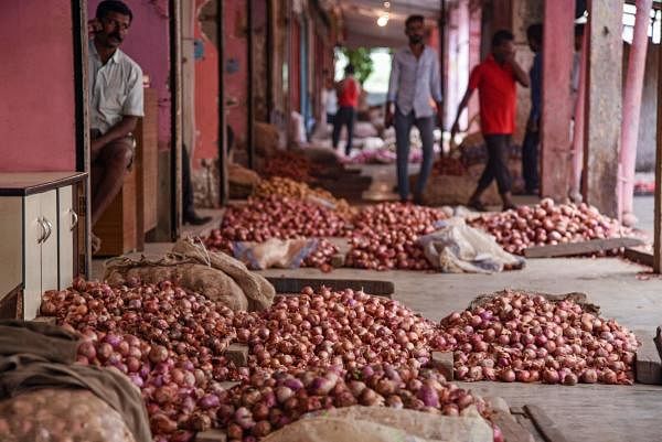 Supply had come down by at least 50 to 60 per cent in Hubballi, enabling prices to inch towards the Rs 200 mark.
