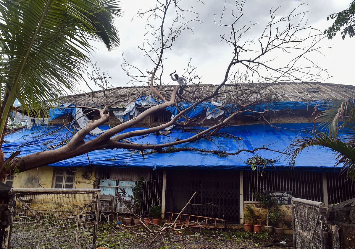Hundreds of houses were damaged, properties destroyed, electric poles flattened and trees lay uprooted in wake of the storm in Raigad. Credit: PTI photo