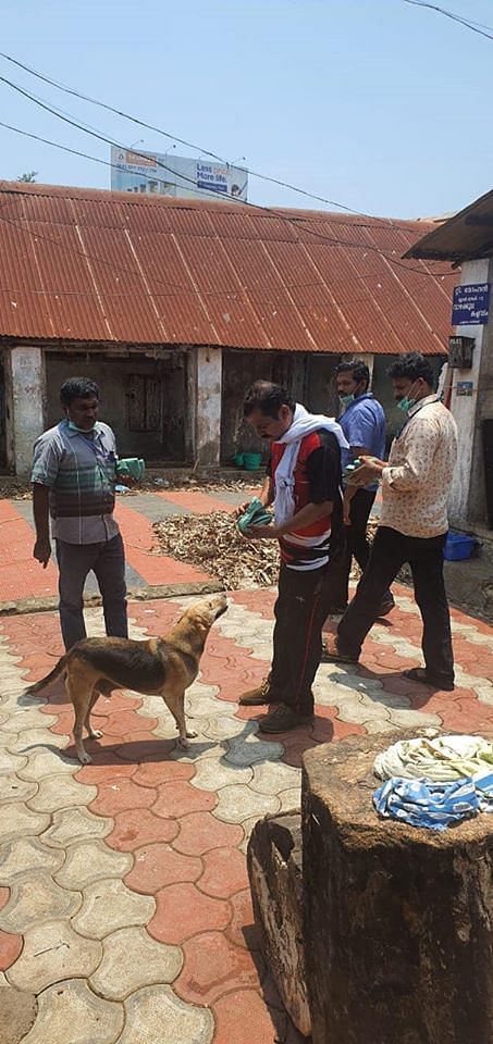 Thiruvananthapuram corporation authorities feeding stray dogs. (Credit: DH Photo)