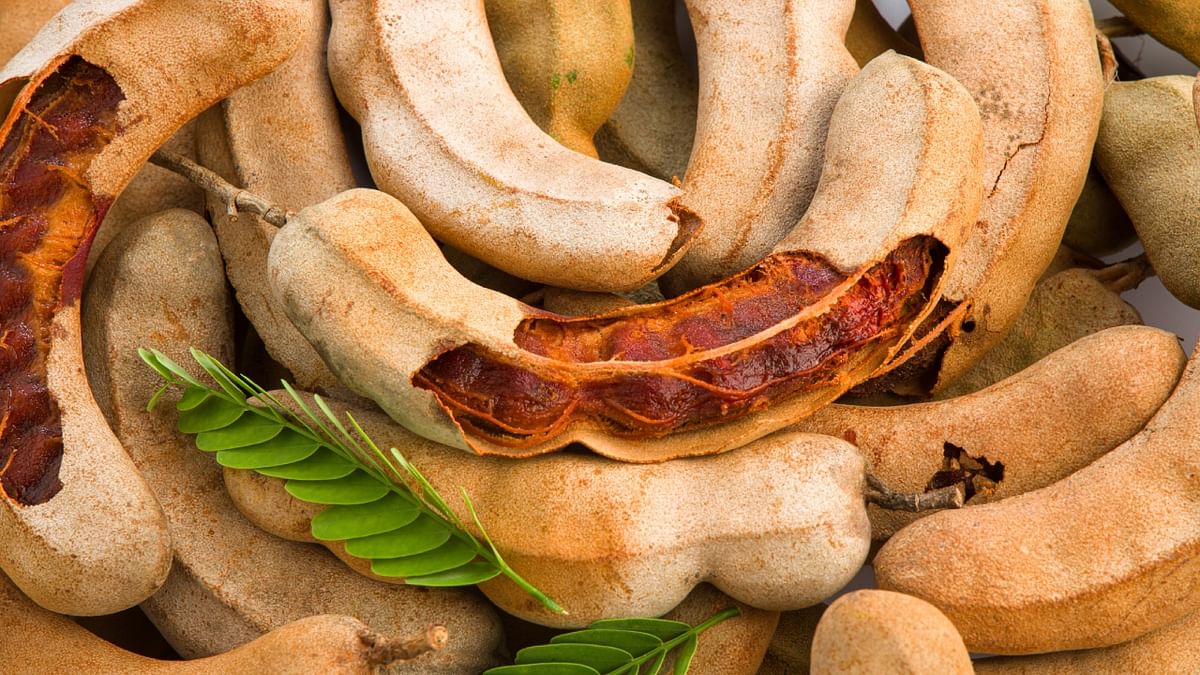 Tamarind is also a flavour substitute for tomatoes. Credit: iStock Photo
