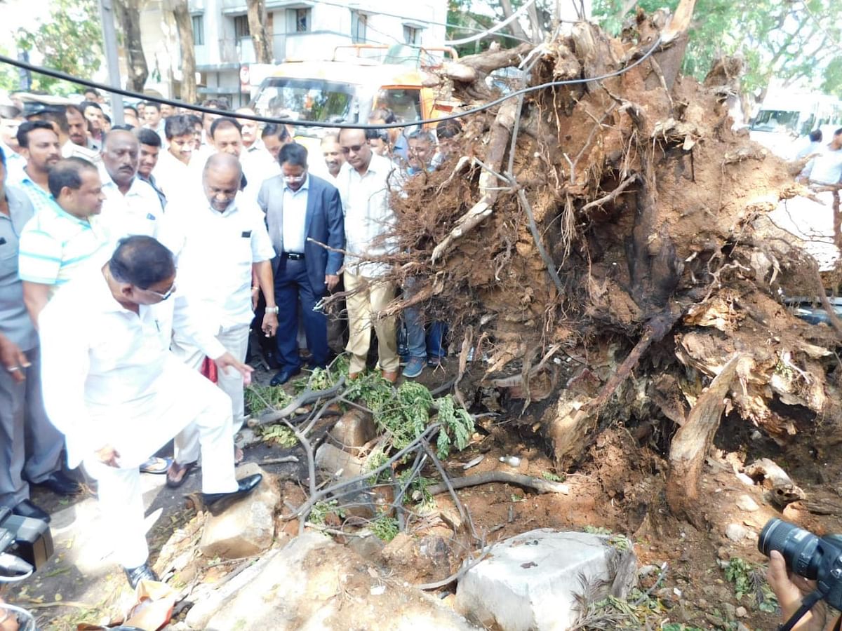 Bengaluru Development Minister and Deputy Chief Minister Dr. G Parameshwara visited areas hit by heavy rains. Credit: DH Photo