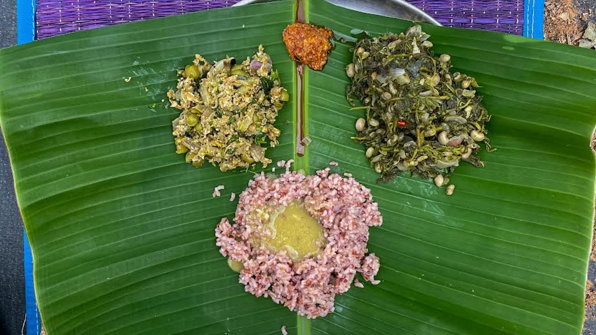 Amid a slight drizzle and the sighting of rat snake, we ate our lunch at the edge of a pond. Bassaru (stock of the cooked greens) and palya (stir fry) made with over 20 edible greens tasted heavenly with red rice.