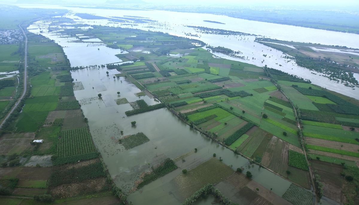 Andhra Pradesh has witnessed torrential rains from October 9 to 13, which wreaked havoc in many areas. Credit: Special arrangement