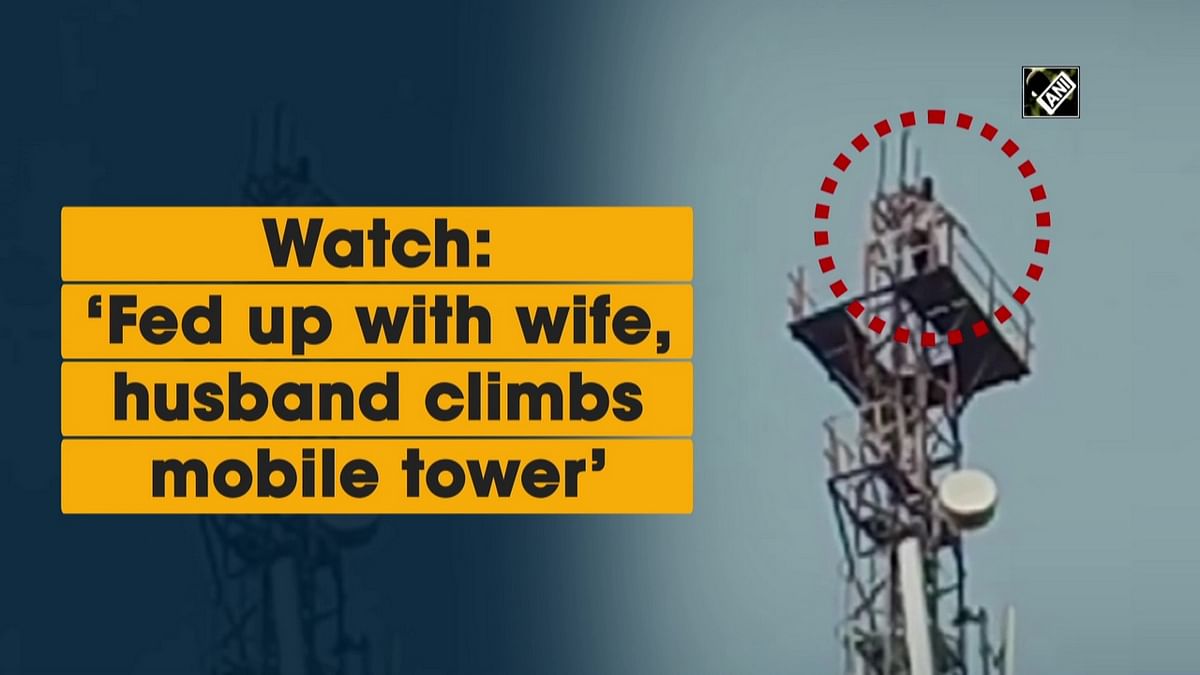 Watch: ‘Fed up with wife, husband climbs mobile tower’