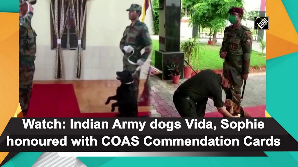  Indian Army dogs honoured with COAS Commendation Cards
