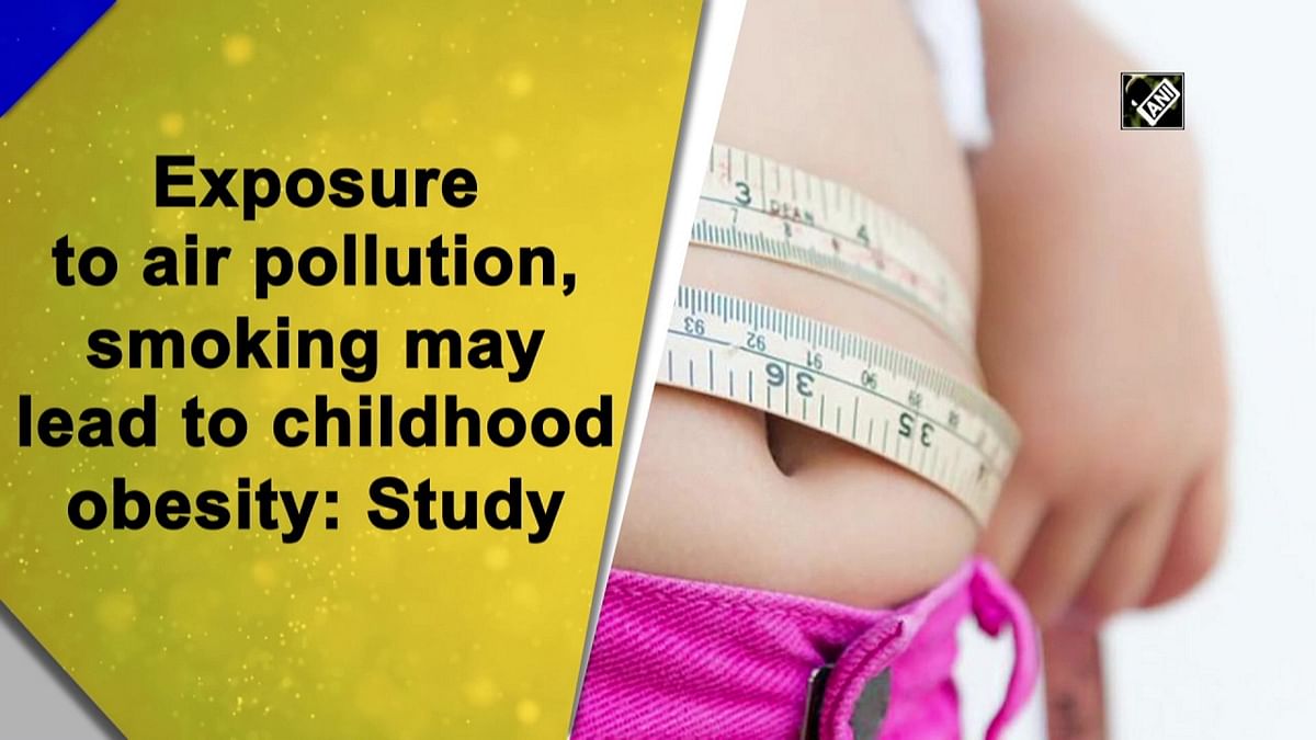 Exposure to air pollution may lead to childhood obesity