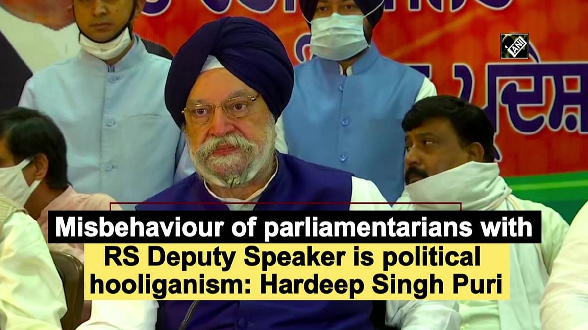 'Misbehaviour with RS Deputy Speaker is hooliganism'