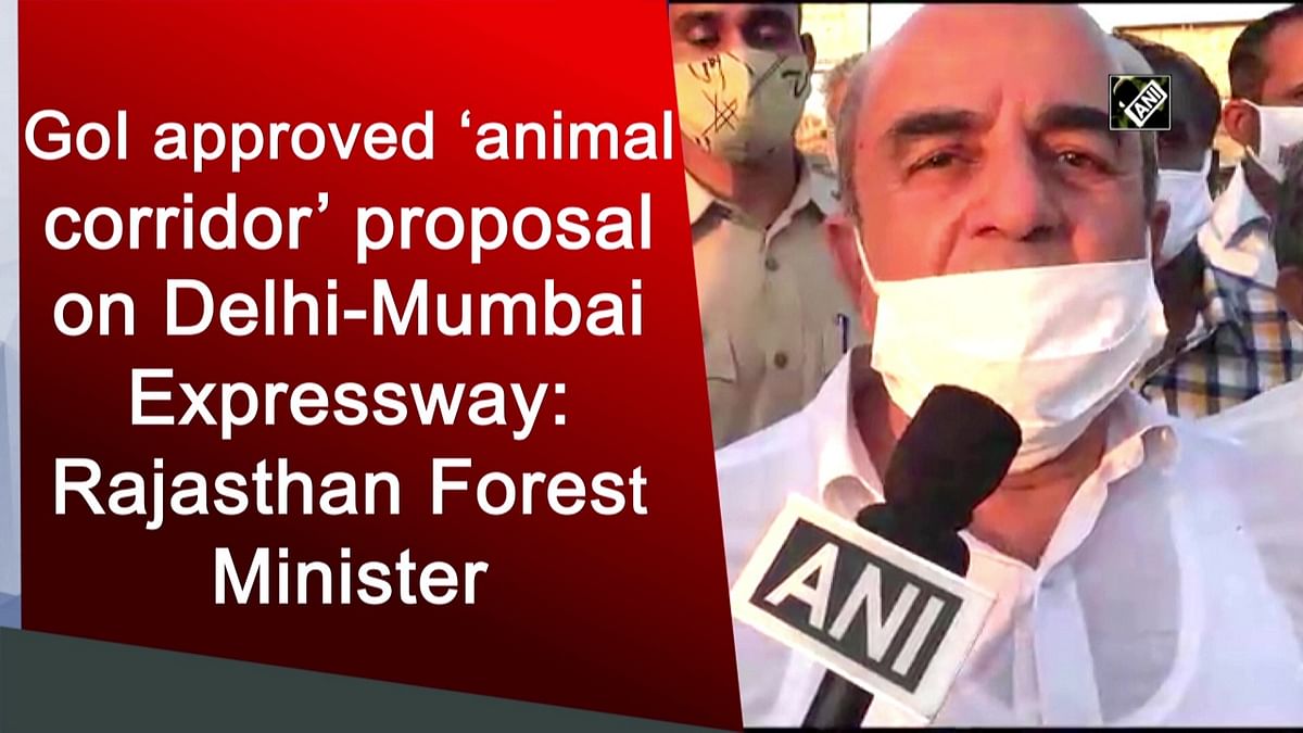 'Animal corridor plan on Delhi-Mumbai highway approved'
