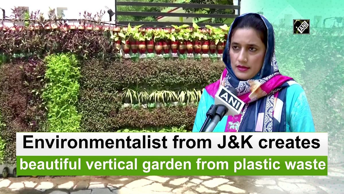 J&K environmentalist grows vertical garden from plastic