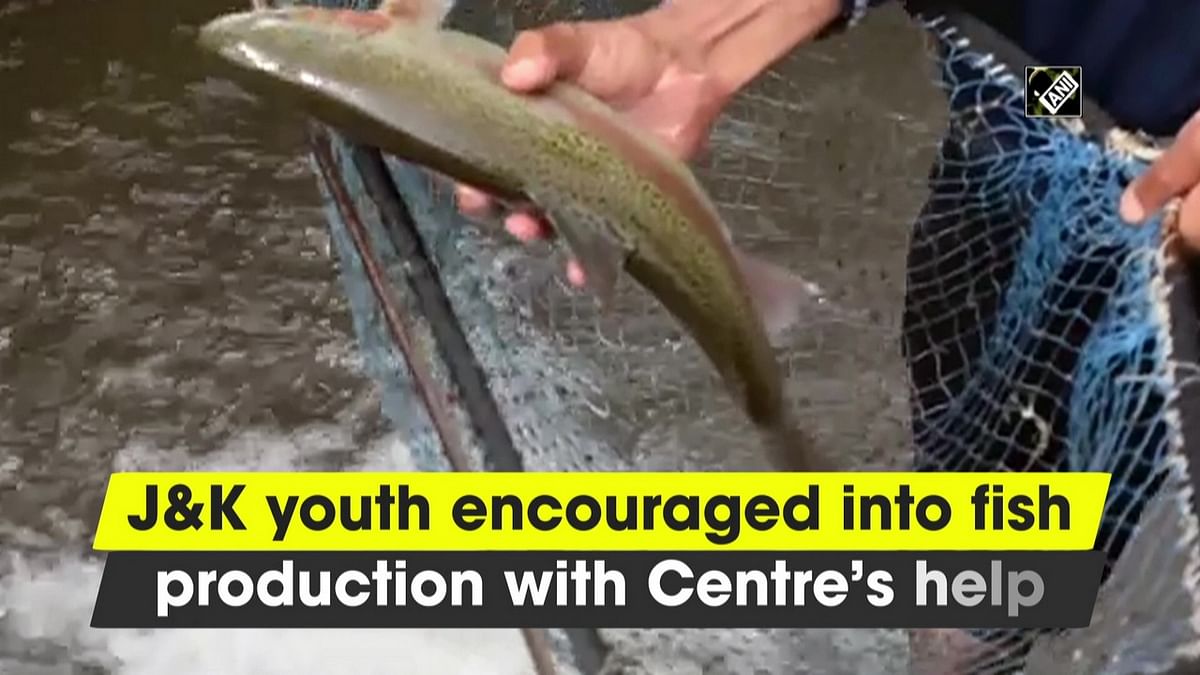 J&K youth encouraged into fisheries with Centre’s help
