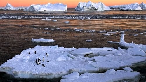<div class="paragraphs"><p>Representative Image of melting Antarctic ice sheet. </p></div>