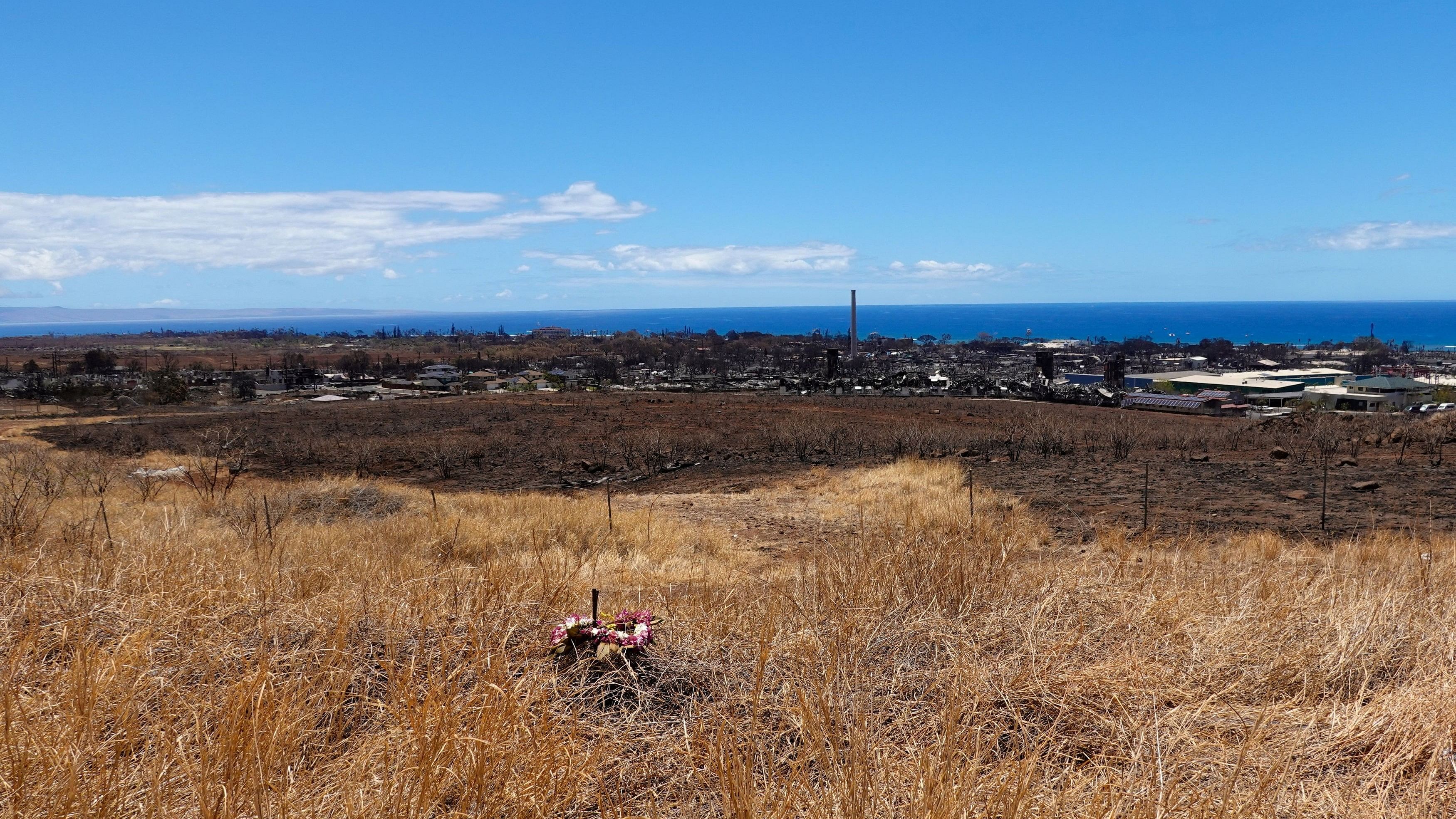 <div class="paragraphs"><p>A lei of flowers sits on the grass above the fire ravaged town of Lahaina on the island of Maui in Hawaii, U.S., August 15, 2023.</p></div>