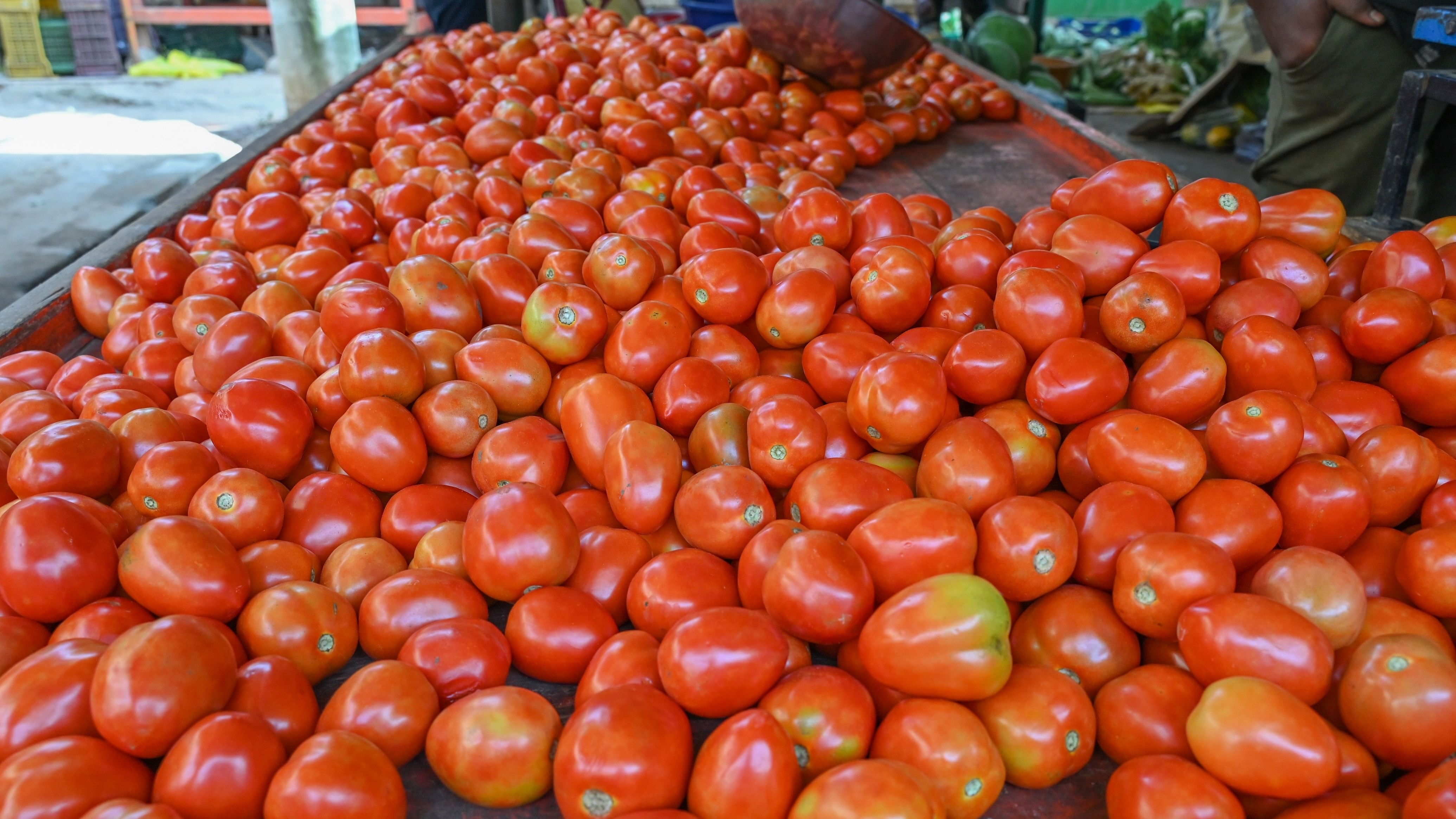 <div class="paragraphs"><p>Tomatoes in a Bengaluru market. </p></div>