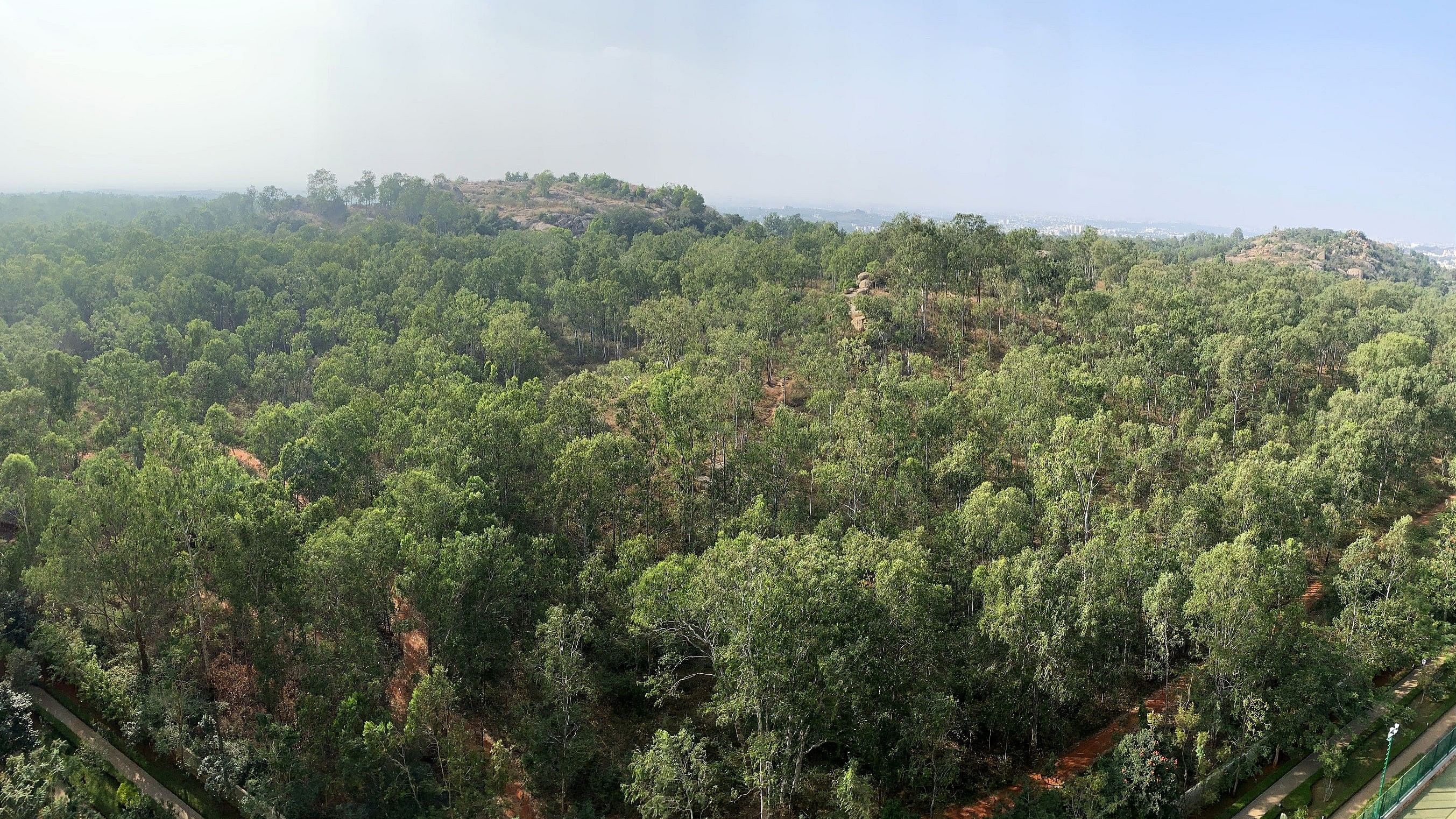 <div class="paragraphs"><p>The 17-acre 34-gunta land was classified as forest in June 2006, according to the order of the deputy commissioner, Bengaluru Urban. However, even as the department took up afforestation work, it had to fight a legal battle to secure full ownership of the land.</p></div>