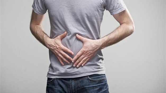 <div class="paragraphs"><p>Representative image of gut conditions.</p></div>