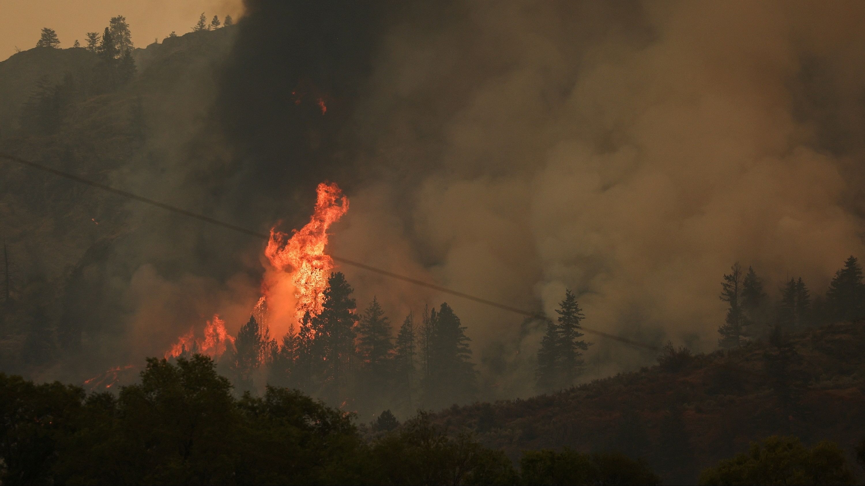 <div class="paragraphs"><p>Wildfires in British Columbia.</p></div>