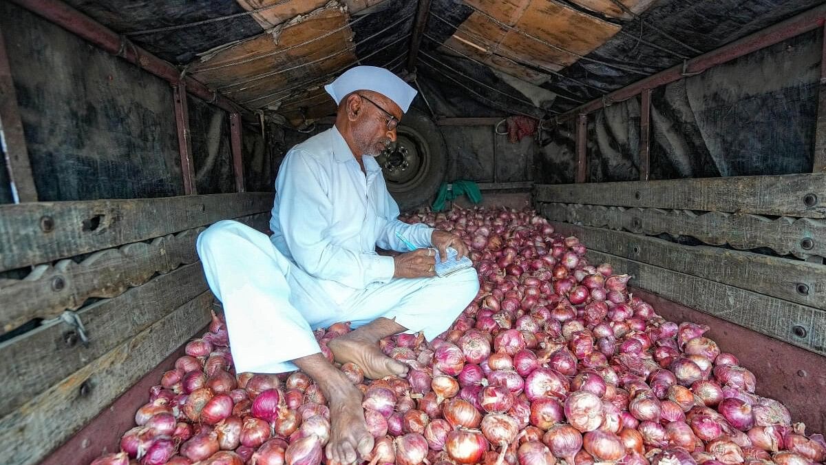 <div class="paragraphs"><p>A farmer at Nashik's Vinchur onion market during farmers and traders’ strike against the central government's decision to impose export duty of 40 per cent on onions.</p></div>