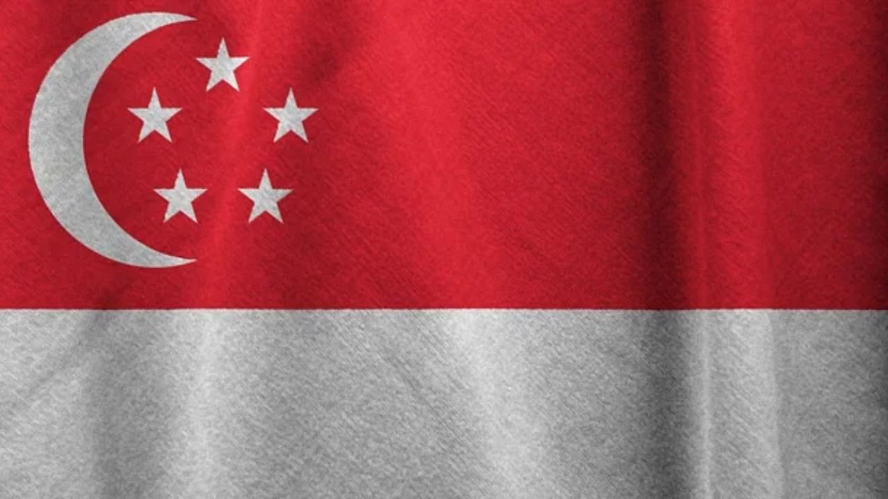 <div class="paragraphs"><p>Singapore flag.</p></div>