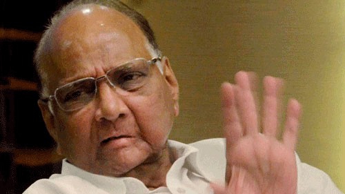 <div class="paragraphs"><p> Nationalist Congress Party (NCP) president Sharad Pawar.</p></div>