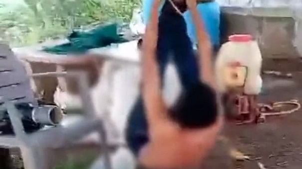 <div class="paragraphs"><p>Screengrab from the viral video where a Dalit boy is seen tied to a tree upside down.</p></div>