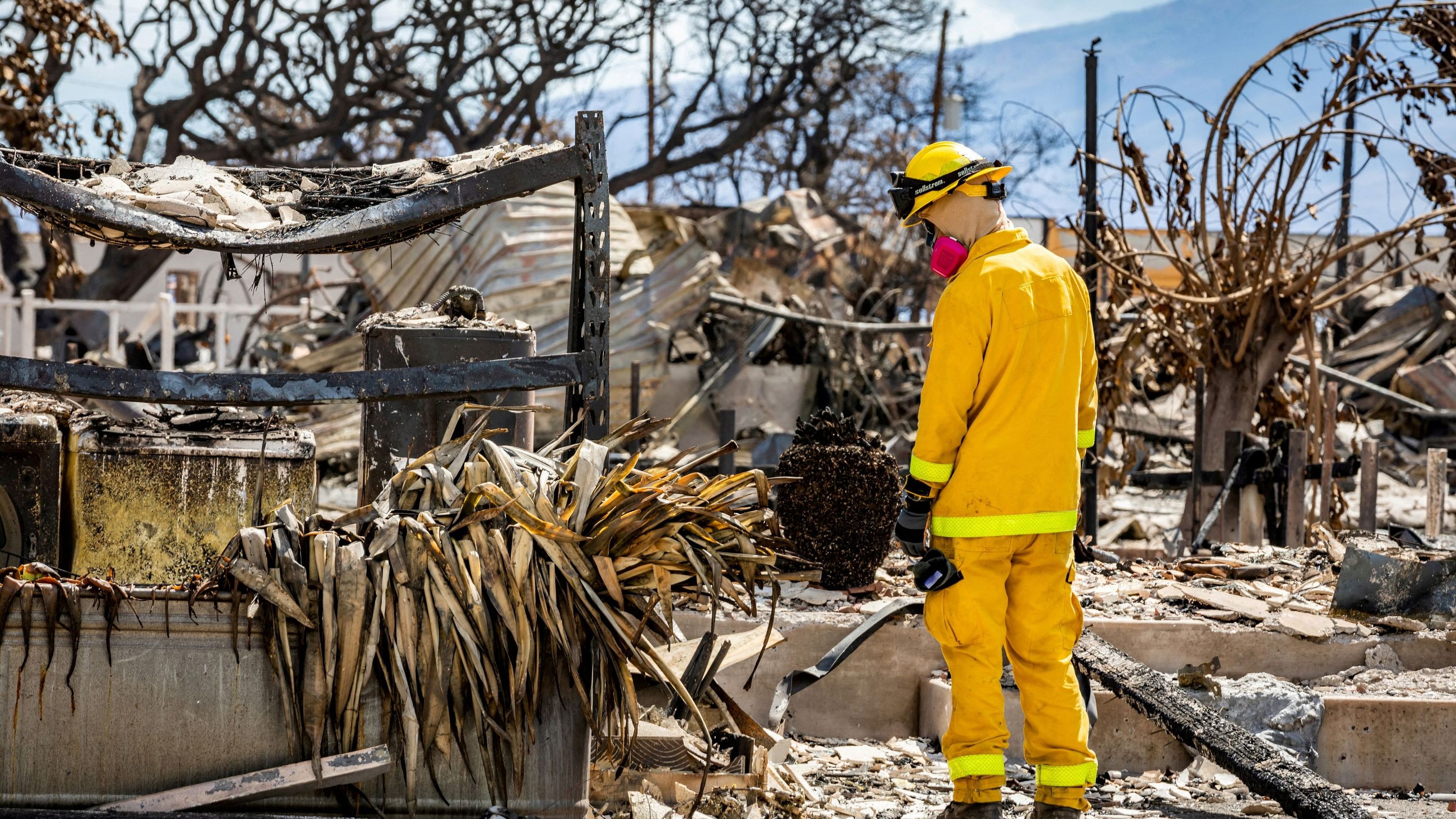 <div class="paragraphs"><p>A Combined Joint Task Force 50 (CJTF-50) search, rescue and recovery member conducts search operations of areas damaged by Maui wildfires in Lahaina, Hawaii, US.</p></div>