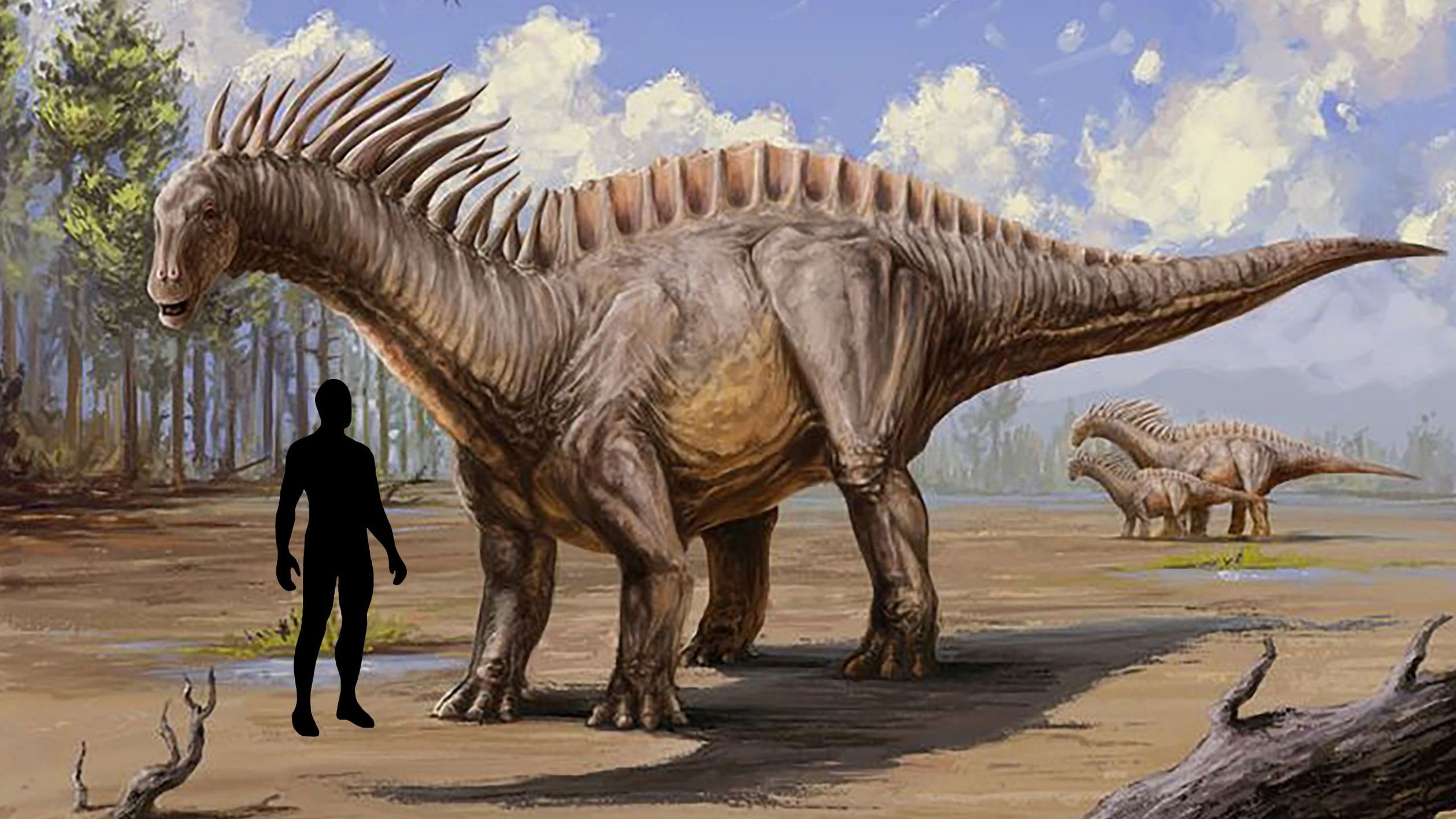 <div class="paragraphs"><p>Scientists previously found fossils of two other sauropods from India, but Tharosaurus is a more evolved creature.</p></div>