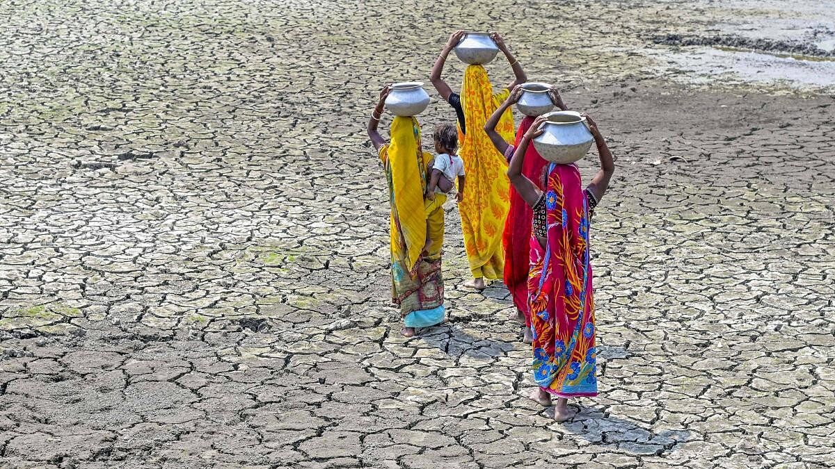 <div class="paragraphs"><p>Representative image of drought.</p></div>